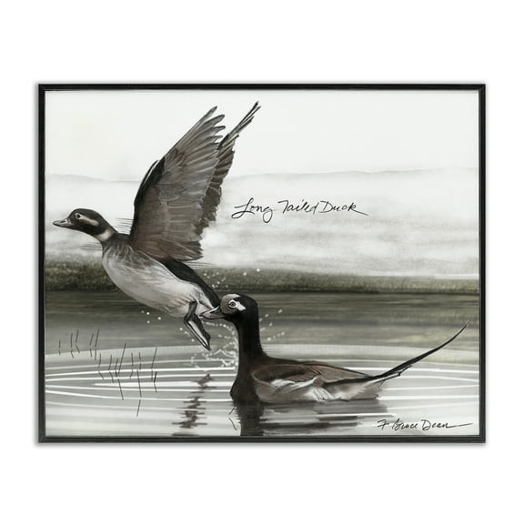 Stupell Industries Long Tailed Duck Animals & Insects Painting Black Framed Art Print Wall Art, 14 x 11
