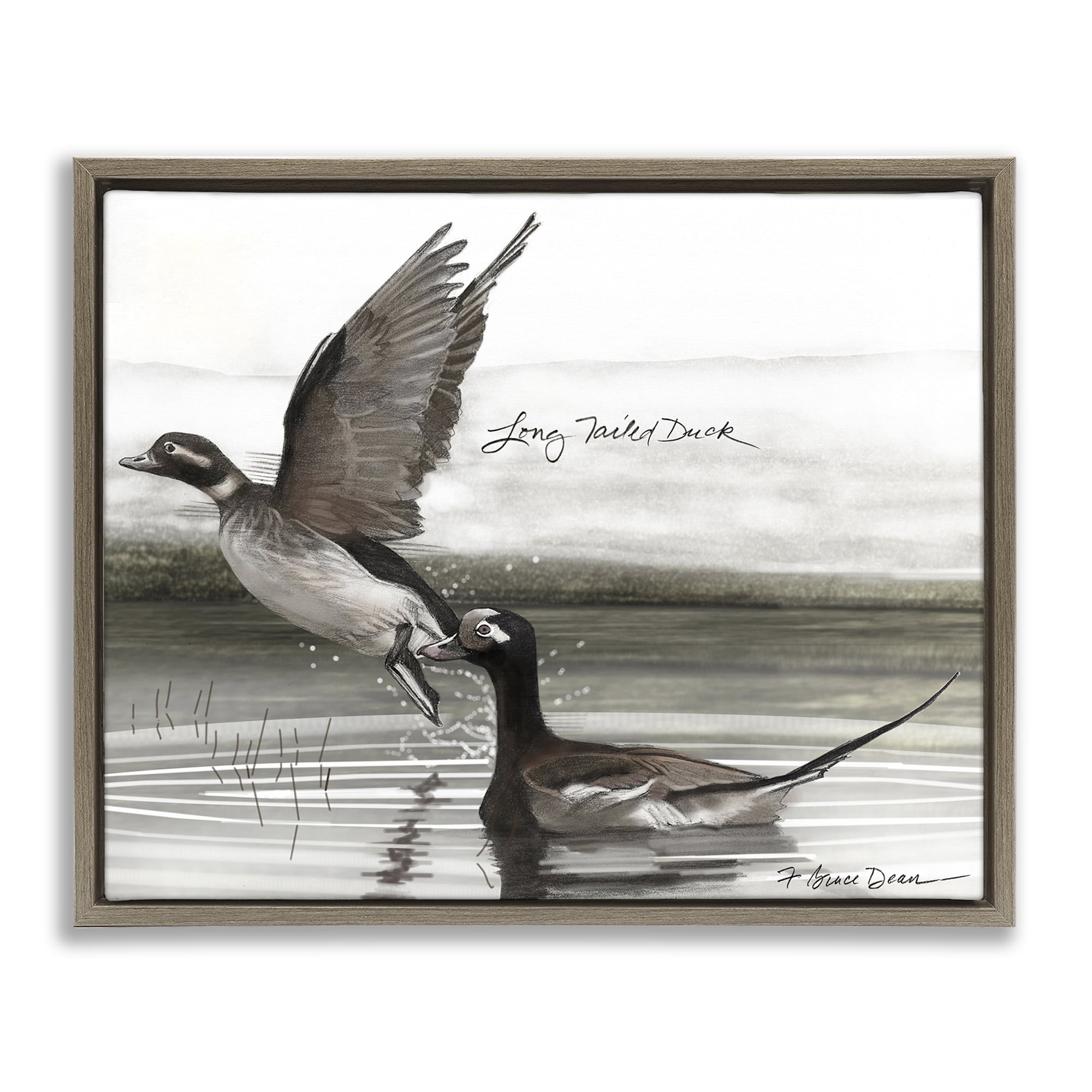 Stupell Industries Long Tailed Duck Animals & Insects Painting Brown Floater Framed Canvas Art Print Wall Art, 31 x 25