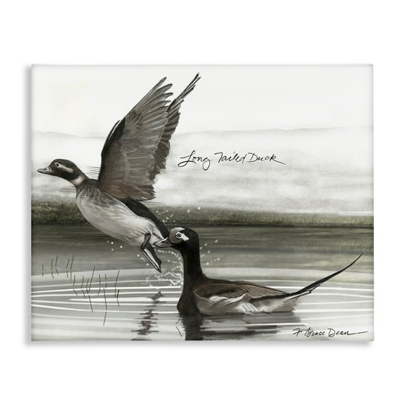 Stupell Industries Long Tailed Duck Animals & Insects Painting Gallery Wrapped Canvas Art Print Wall Art, 30 x 24