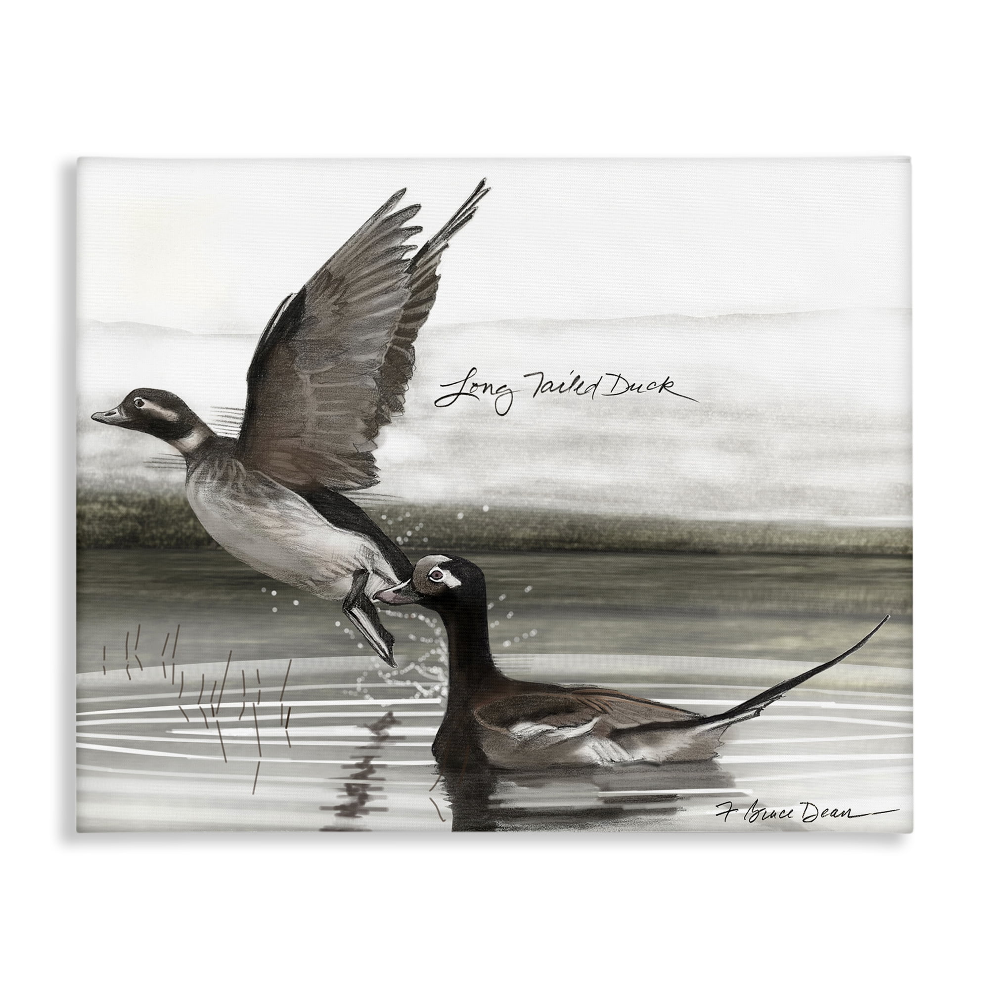 Stupell Industries Long Tailed Duck Animals & Insects Painting Gallery Wrapped Canvas Art Print Wall Art, 48 x 36