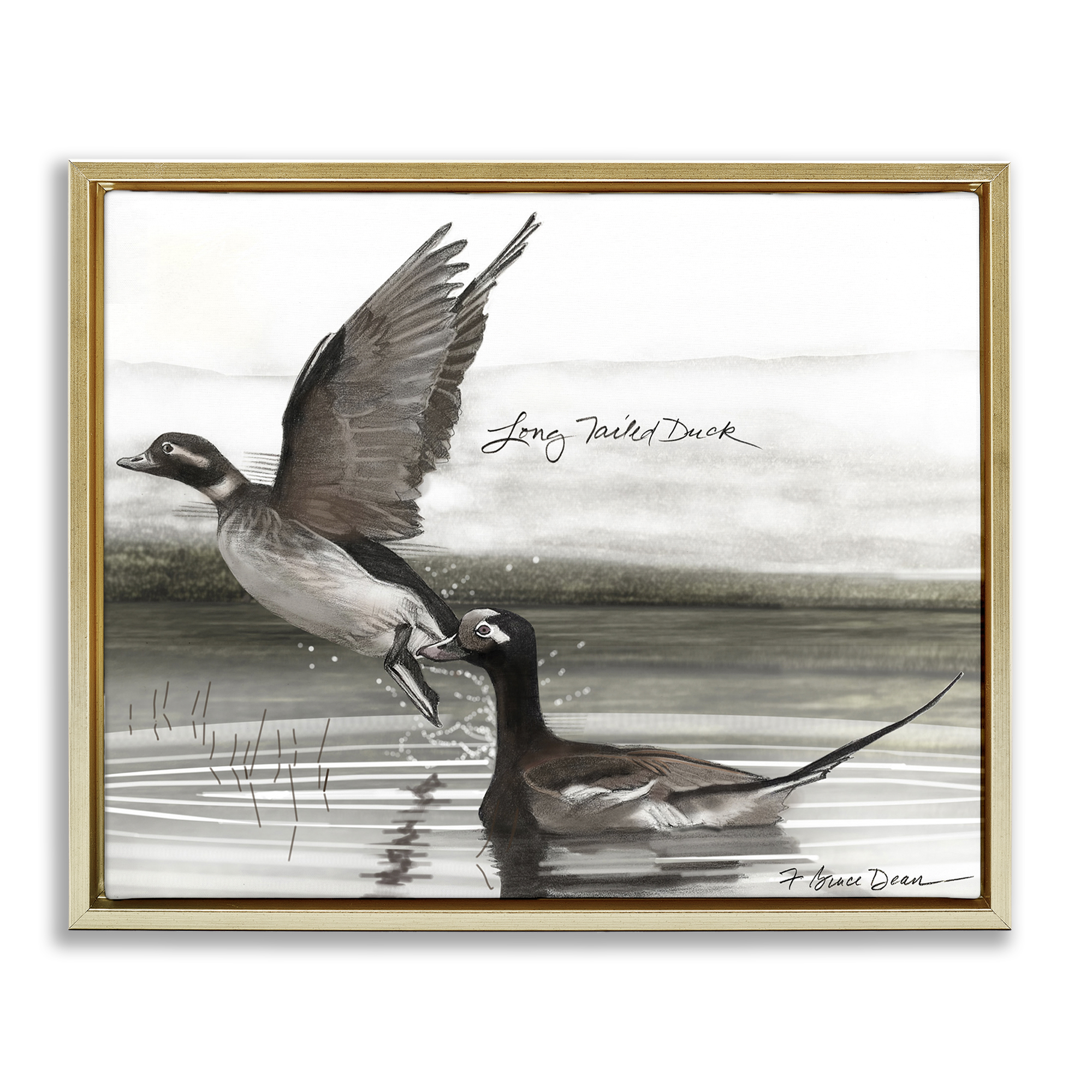 Stupell Industries Long Tailed Duck Animals & Insects Painting Gold Floater Framed Canvas Art Print Wall Art, 21 x 17