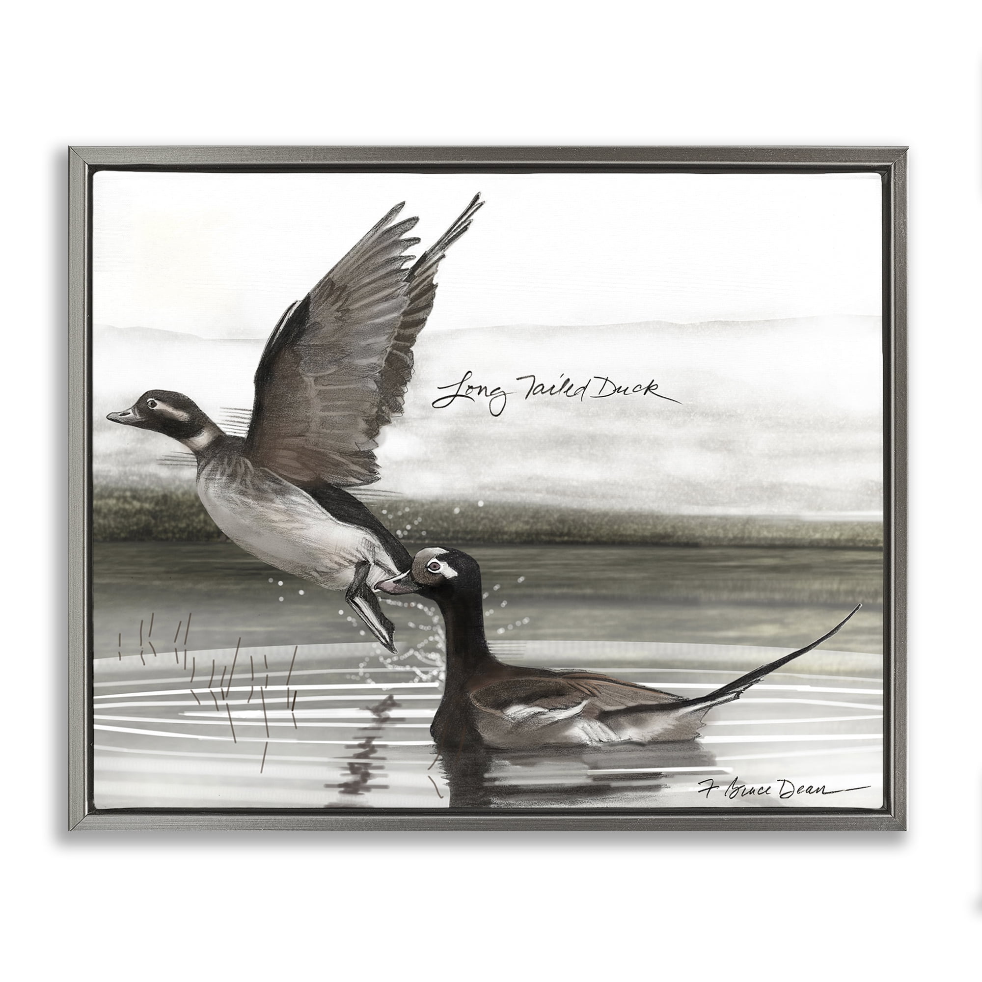 Stupell Industries Long Tailed Duck Animals & Insects Painting Gray Floater Framed Canvas Art Print Wall Art, 31 x 25