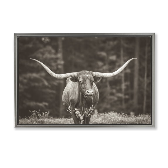 Stupell Industries Longhorn Among Flowers Animals Photography Gray Floater Framed Canvas Art Print Wall Art, 31 x 21