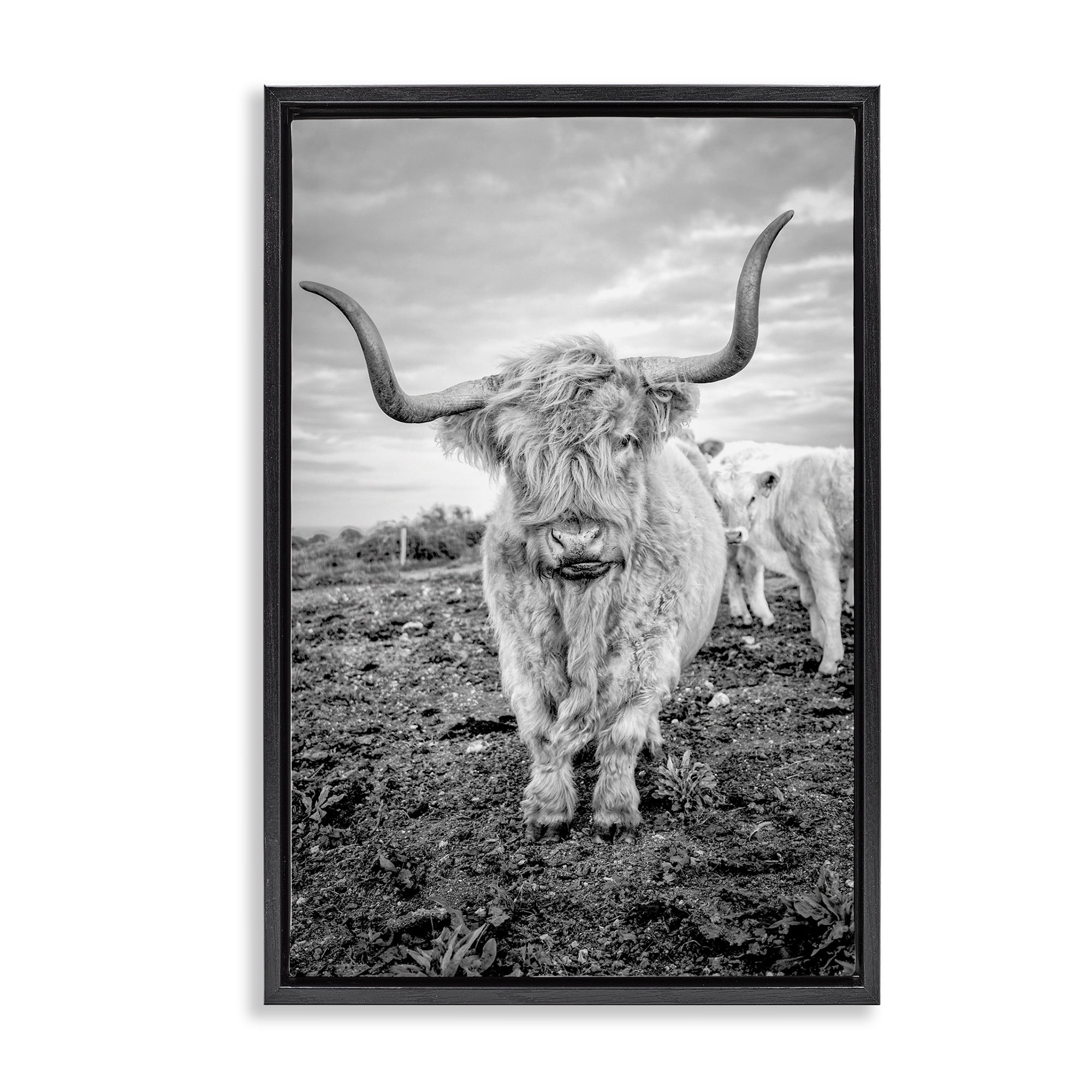 Stupell Industries Longhorn Calf Family Animals & Insects Photography Black Floater Framed Canvas Art Print Wall Art, 21 x 31