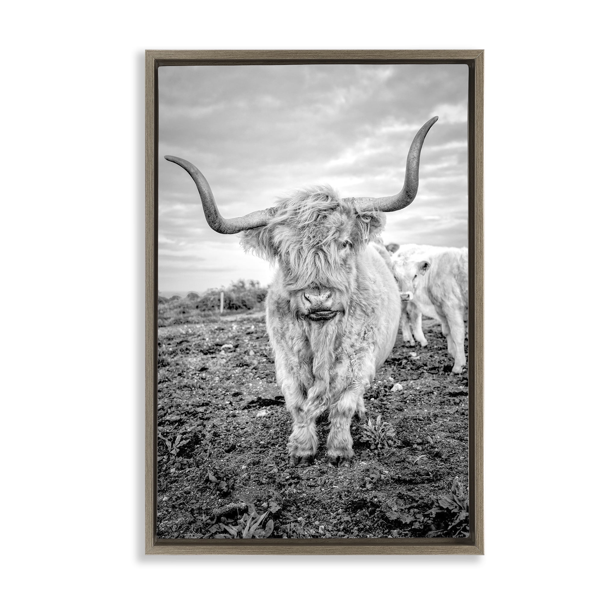 Stupell Industries Longhorn Calf Family Animals & Insects Photography Brown Floater Framed Canvas Art Print Wall Art, 21 x 31