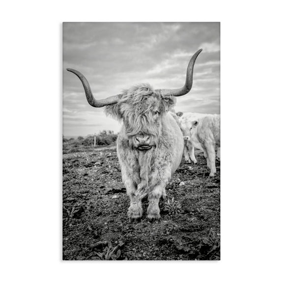 Stupell Industries Longhorn Calf Family Animals & Insects Photography Gallery Wrapped Canvas Art Print Wall Art, 16 x 24