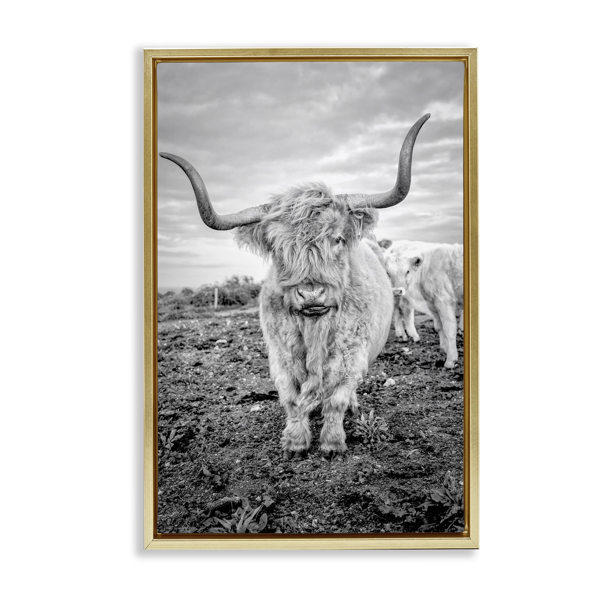 Stupell Industries Longhorn Calf Family Animals & Insects Photography Gold Floater Framed Canvas Art Print Wall Art, 21 x 31