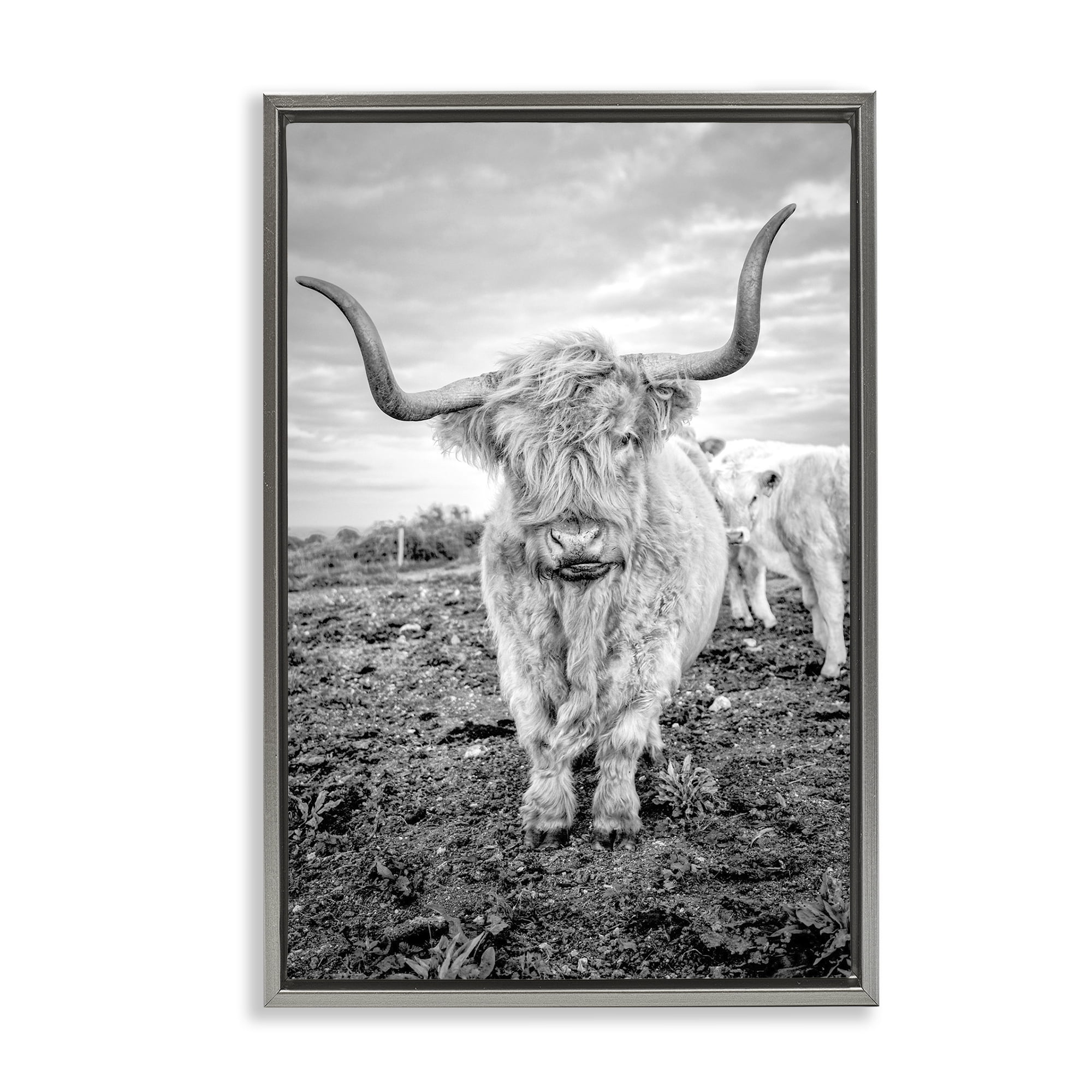 Stupell Industries Longhorn Calf Family Animals & Insects Photography Gray Floater Framed Canvas Art Print Wall Art, 17 x 25