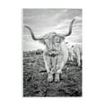 thumbnail image 1 of Stupell Industries Longhorn Calf Family Animals & Insects Photography Unframed Art Print Wall Art, 10 x 15, 1 of 2