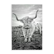 Stupell Industries Longhorn Calf Family Animals & Insects Photography Unframed Art Print Wall Art, 10 x 15