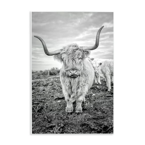 Stupell Industries Longhorn Calf Family Animals & Insects Photography Unframed Art Print Wall Art, 10 x 15