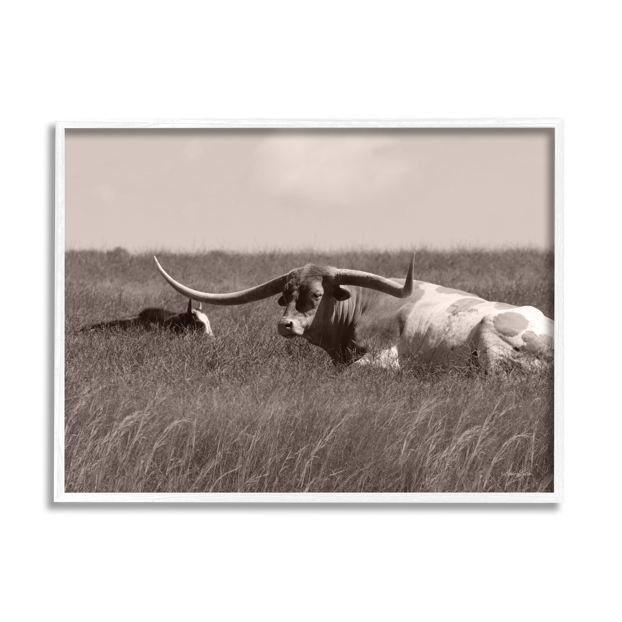Stupell Industries Longhorn Cattle Basking Countryside Sun Pasture , 20 x 16, Design by Lori Deiter