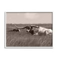 thumbnail image 1 of Stupell Industries Longhorn Cattle Basking Countryside Sun Pasture , 20 x 16, Design by Lori Deiter, 1 of 5
