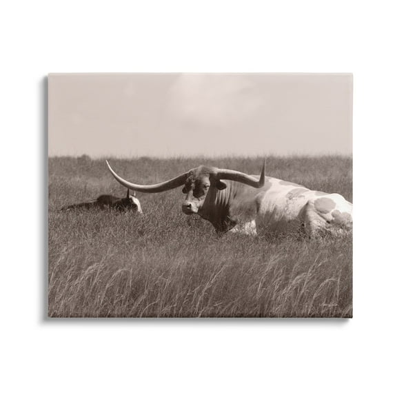Stupell Industries Longhorn Cattle Basking Countryside Sun Pasture , 30 x 24, Design by Lori Deiter