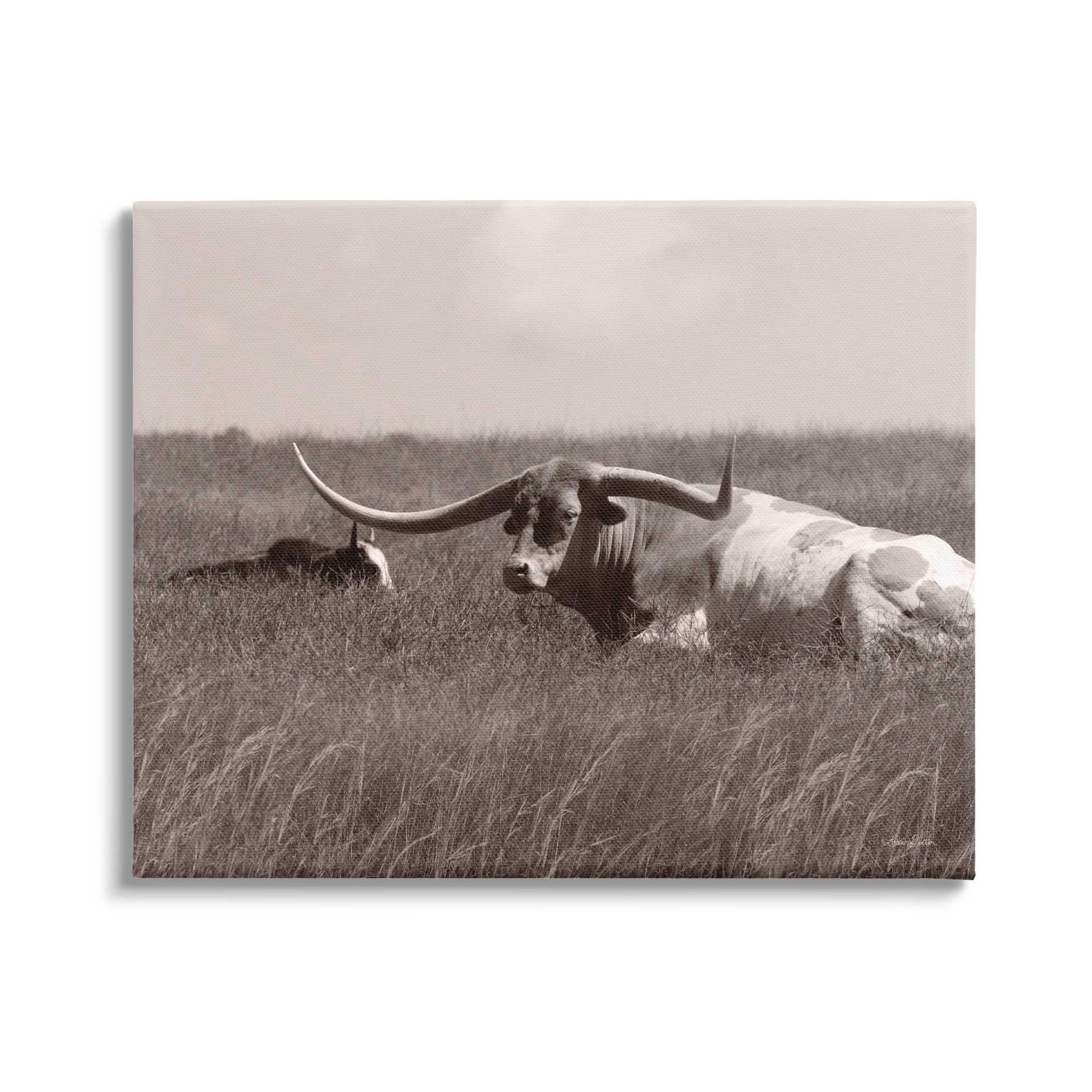 Stupell Industries Longhorn Cattle Basking Countryside Sun Pasture Photography Gallery-Wrapped Canvas Print Wall Art, 40x30, by Lori Deiter
