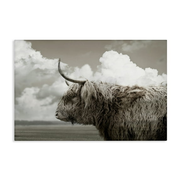 Stupell Industries Longhorn Cattle & Clouds View Animals Photography Wrapped Canvas Canvas Art Print Wall Art, 45 x 30