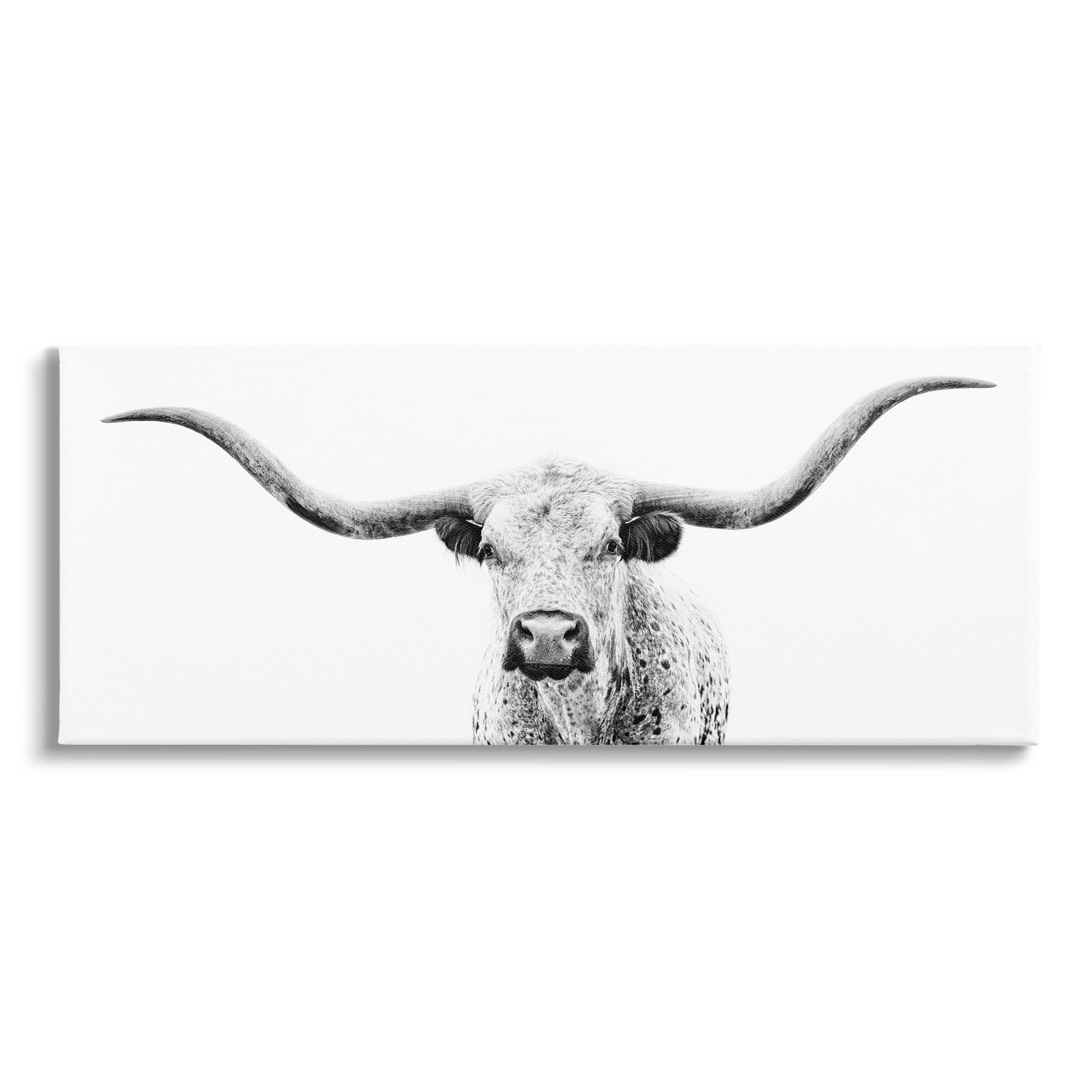 Stupell Industries Longhorn Cattle Gazing Modern White Photography Design Graphic Art Gallery Wrapped Canvas Print Wall Art, Design by PHBurchett