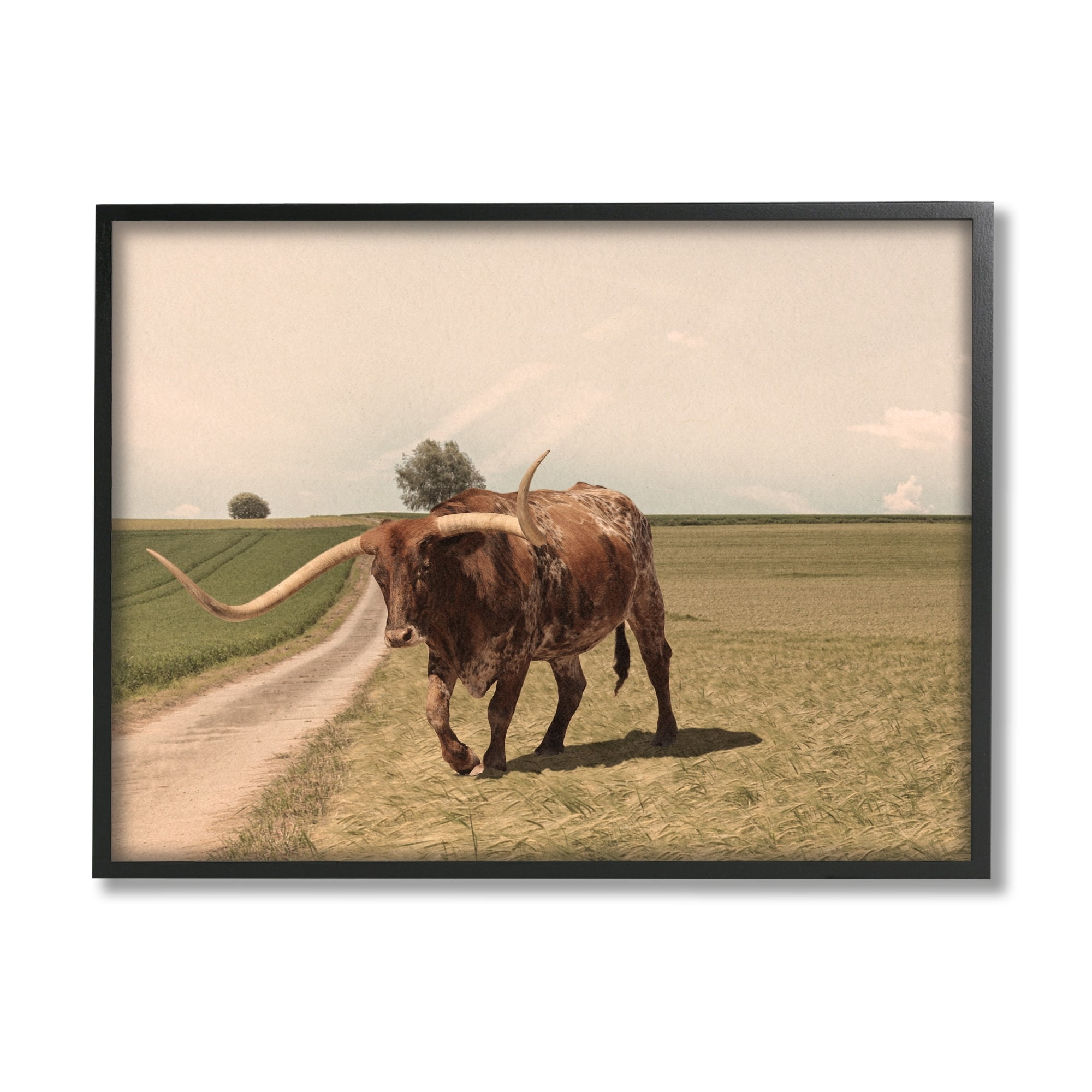 Stupell Industries Longhorn Cattle Grazing Scenic Countryside Landscape Photograph Black Framed Art Print Wall Art, Design by Marcus Prime