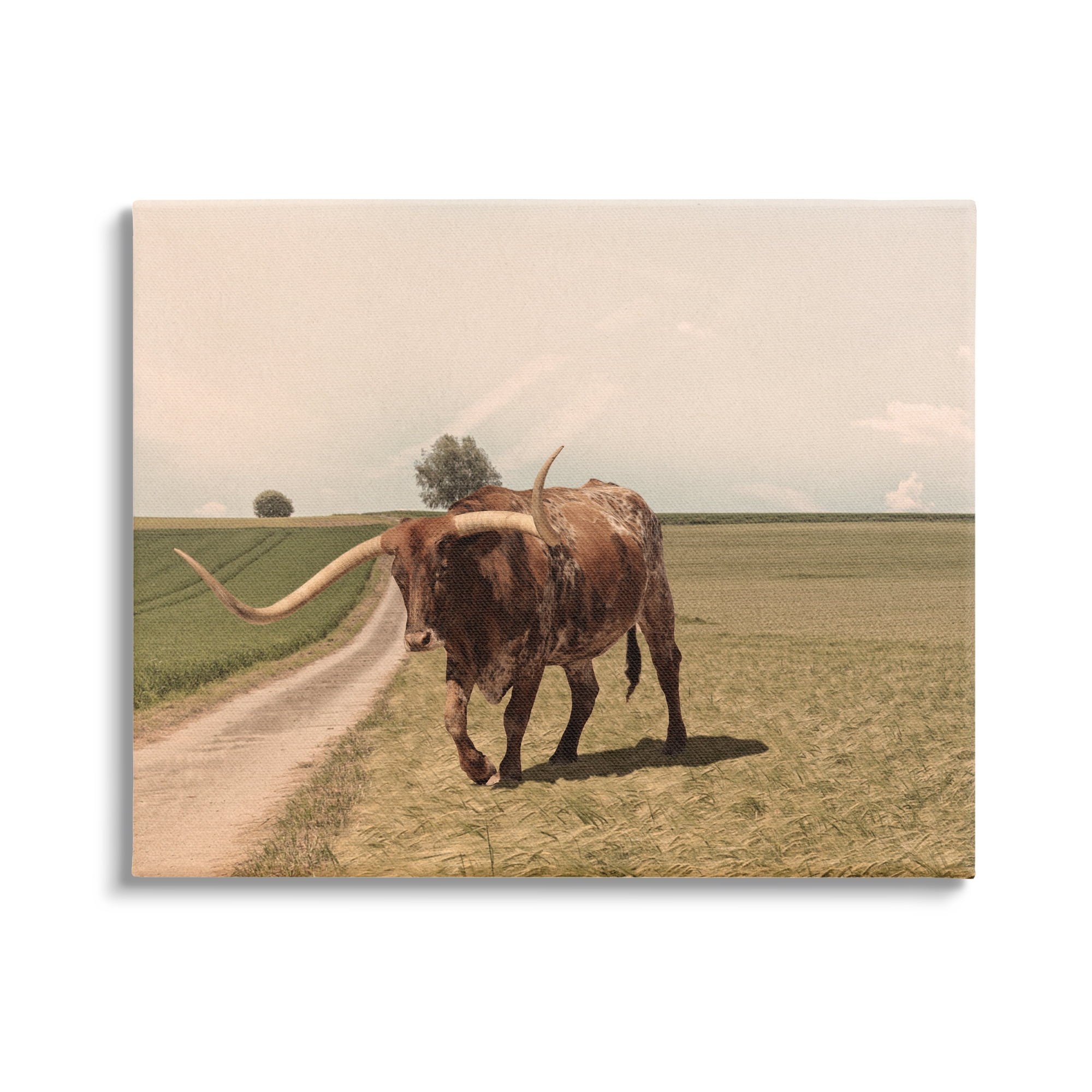 Stupell Industries Longhorn Cattle Grazing Scenic Countryside Landscape Photograph Gallery Wrapped Canvas Print Wall Art, Design by Marcus Prime