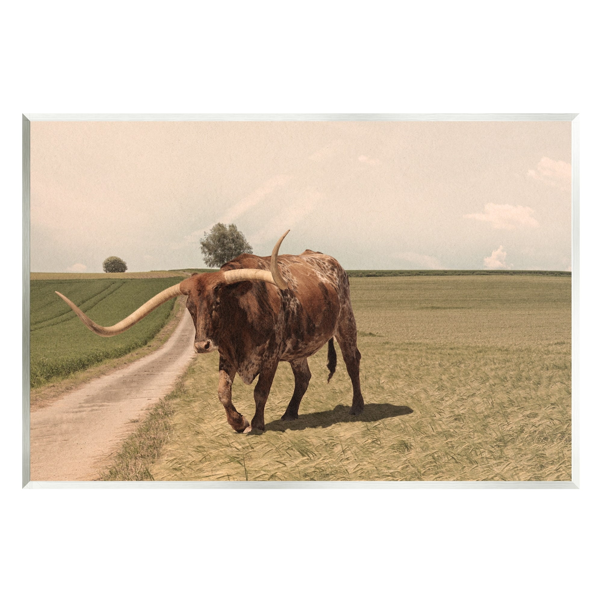 Stupell Industries Longhorn Cattle Grazing Scenic Countryside Landscape Photograph Unframed Art Print Wall Art, Design by Marcus Prime