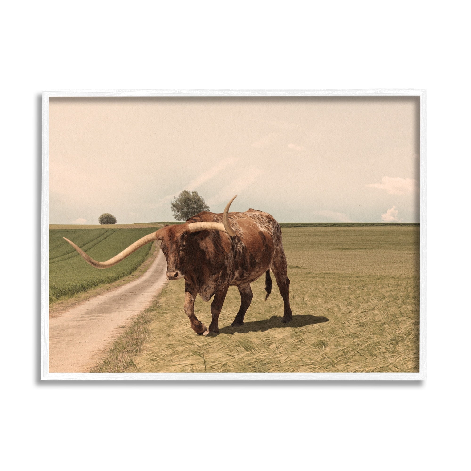 Stupell Industries Longhorn Cattle Grazing Scenic Countryside Landscape Photograph White Framed Art Print Wall Art, Design by Marcus Prime