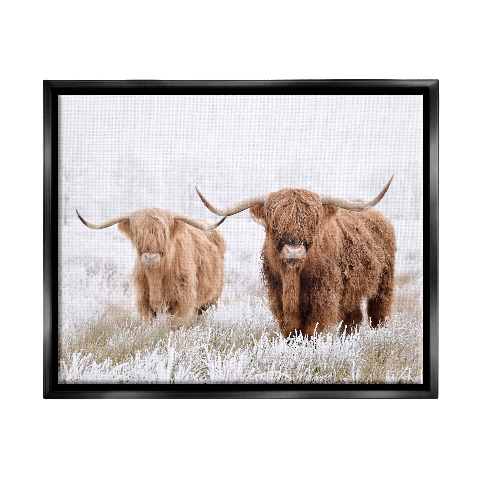 Stupell Industries Longhorn Cows in Snow Animals & Insects Photography Black Floater Framed Canvas Art Print Wall Art, 21 x 17