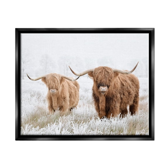 Stupell Industries Longhorn Cows in Snow Animals & Insects Photography Black Floater Framed Canvas Art Print Wall Art, 31 x 25