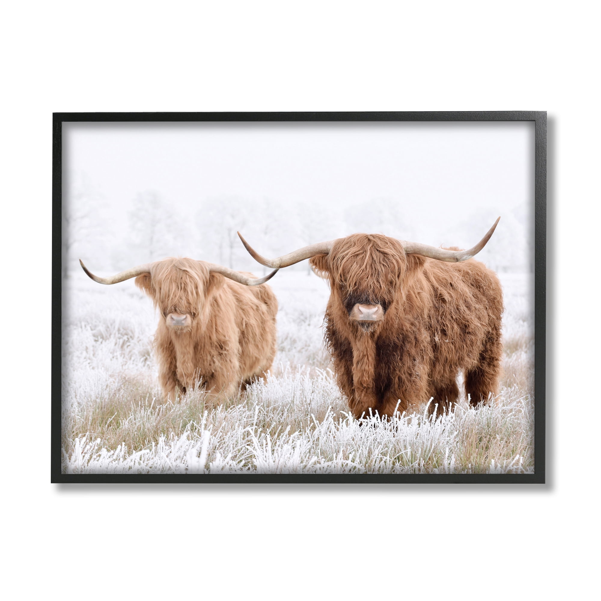 Stupell Industries Longhorn Cows in Snow Animals & Insects Photography Black Framed Art Print Wall Art, 14 x 11