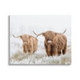 thumbnail image 1 of Stupell Industries Longhorn Cows in Snow Animals & Insects Photography Gallery Wrapped Canvas Art Print Wall Art, 20 x 16, 1 of 8