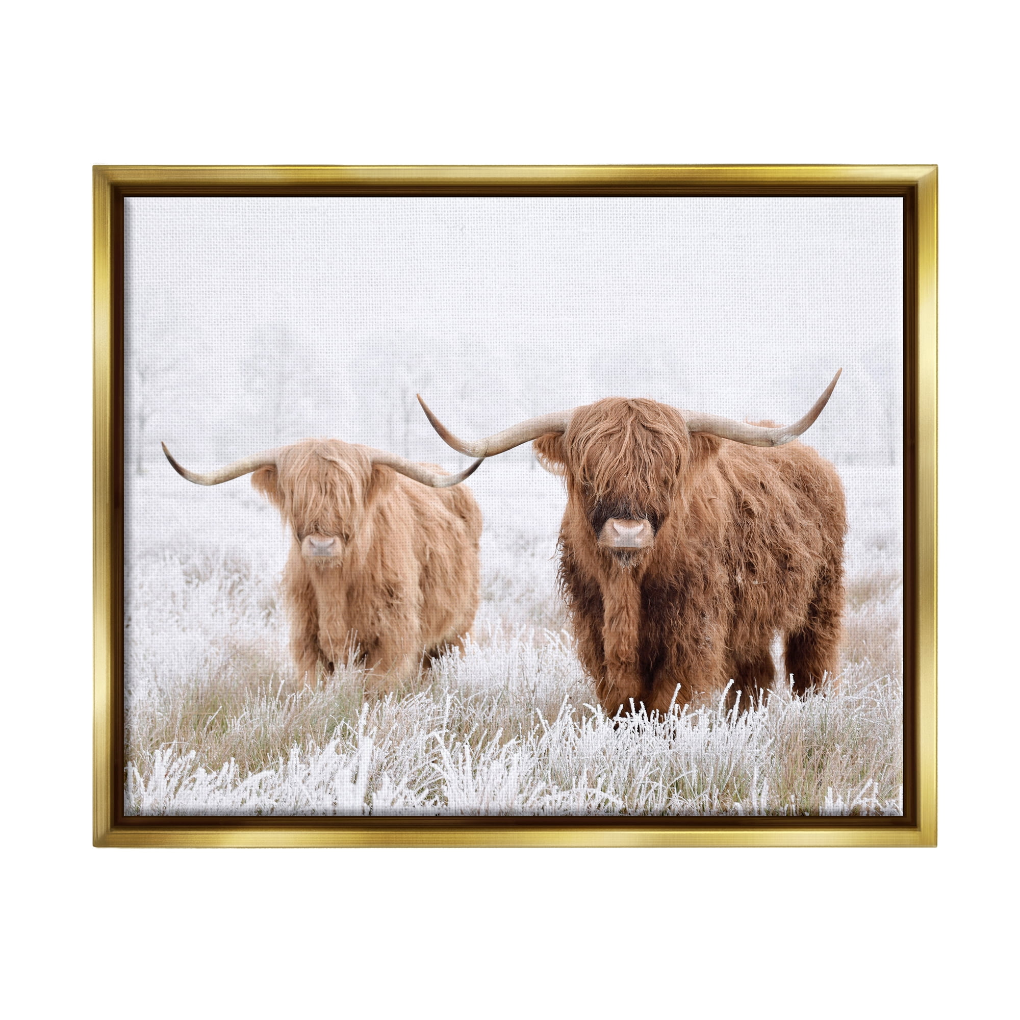 Stupell Industries Longhorn Cows in Snow Animals & Insects Photography Gold Floater Framed Canvas Art Print Wall Art, 31 x 25