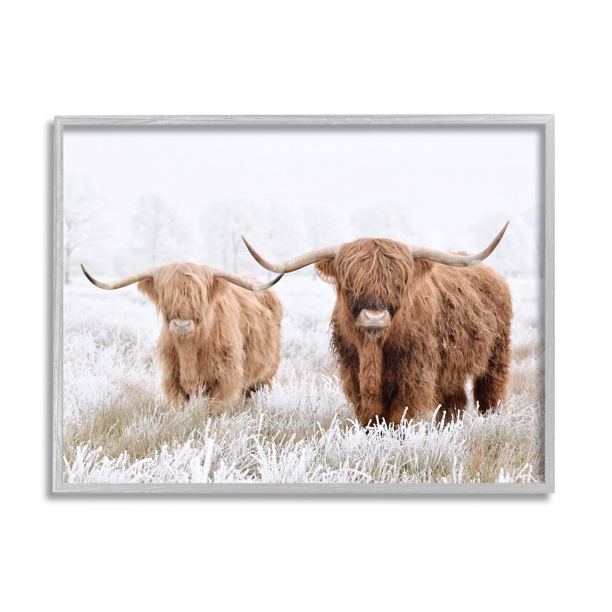 Stupell Industries Longhorn Cows in Snow Animals & Insects Photography Gray Framed Art Print Wall Art, 30 x 24