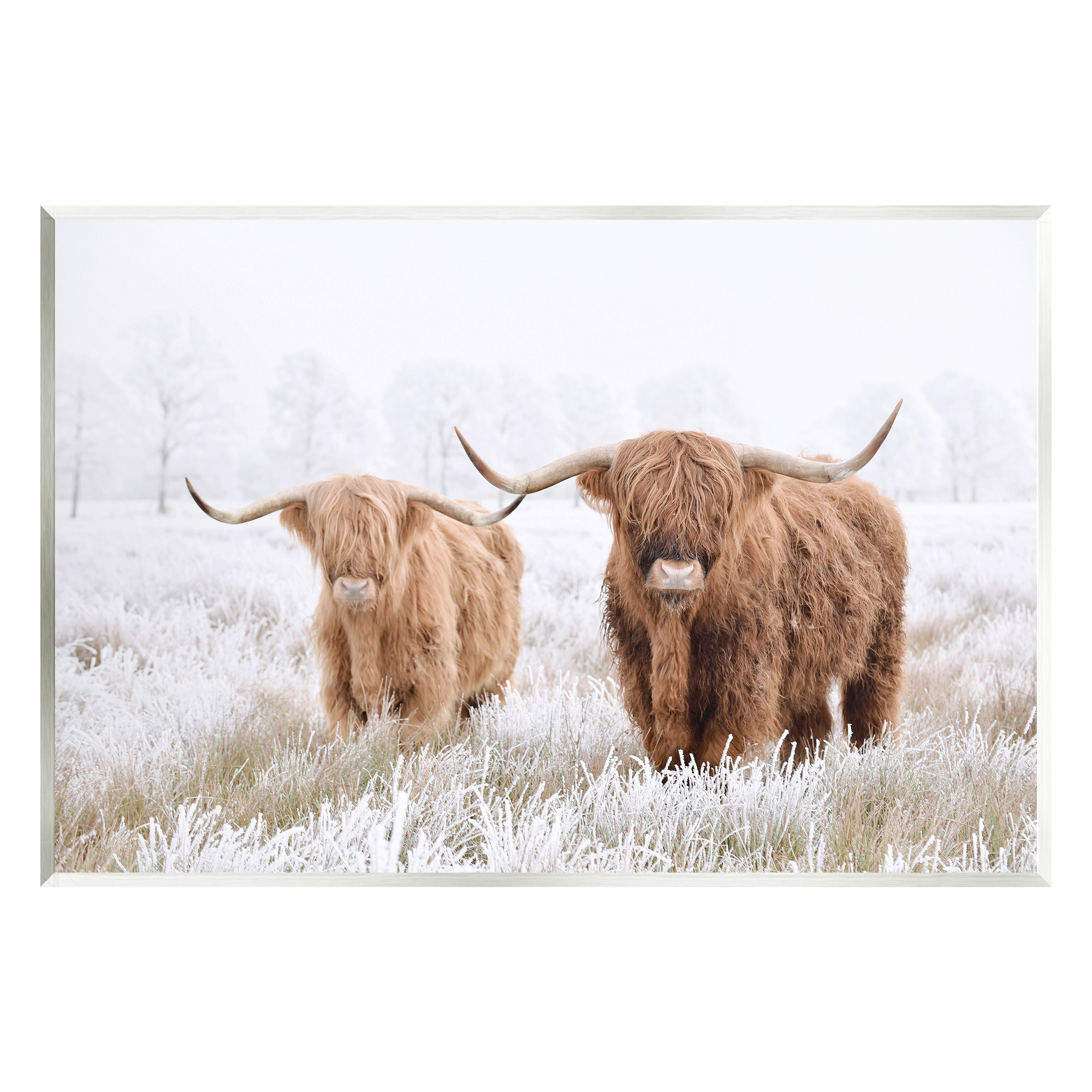Stupell Industries Longhorn Cows in Snow Animals & Insects Photography Unframed Art Print Wall Art, 19 x 13