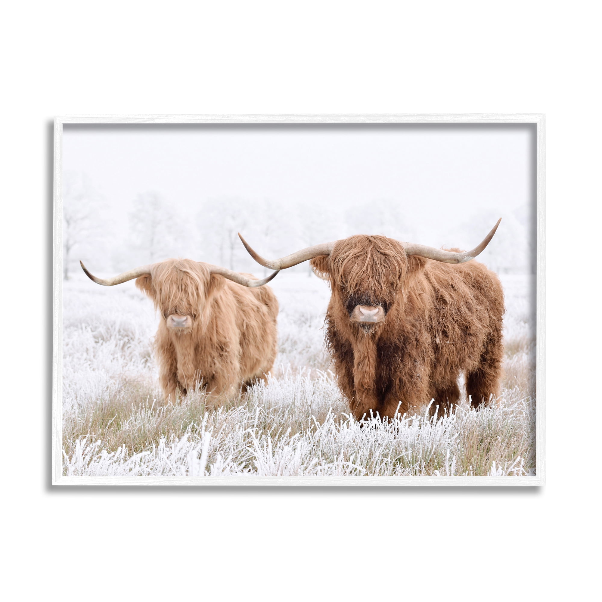 Stupell Industries Longhorn Cows in Snow Animals & Insects Photography White Framed Art Print Wall Art, 20 x 16