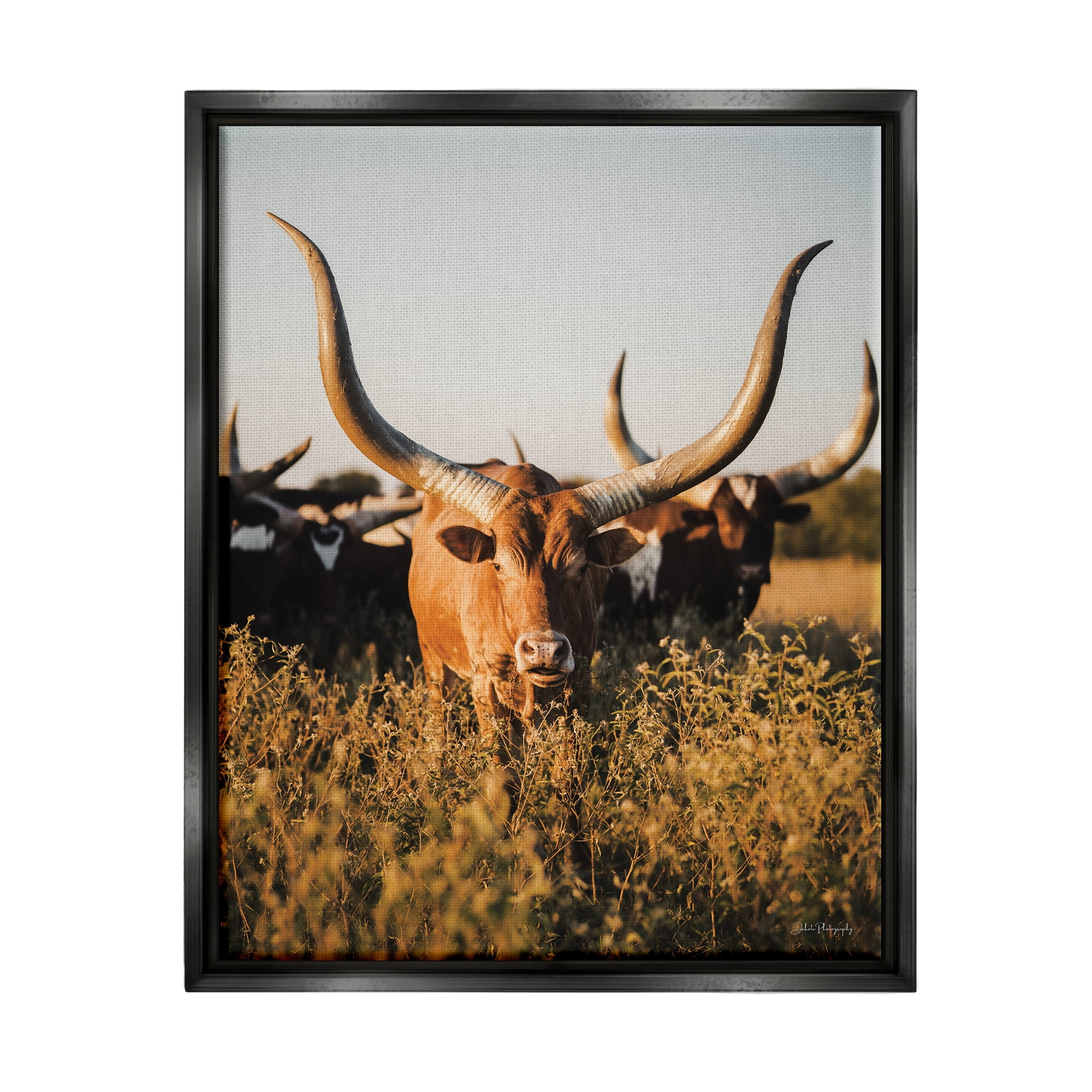 Stupell Industries Longhorn Herd Photography Animals & Insects Photography Black Floater Framed Canvas Art Print Wall Art, 25 x 31