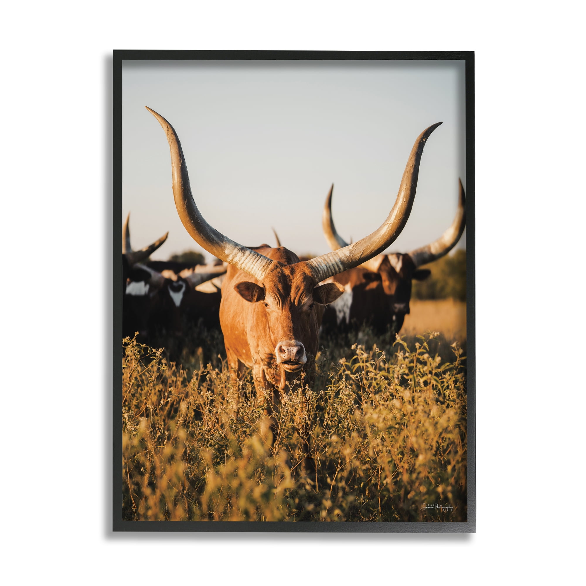 Stupell Industries Longhorn Herd Photography Animals & Insects Photography Black Framed Art Print Wall Art, 11 x 14