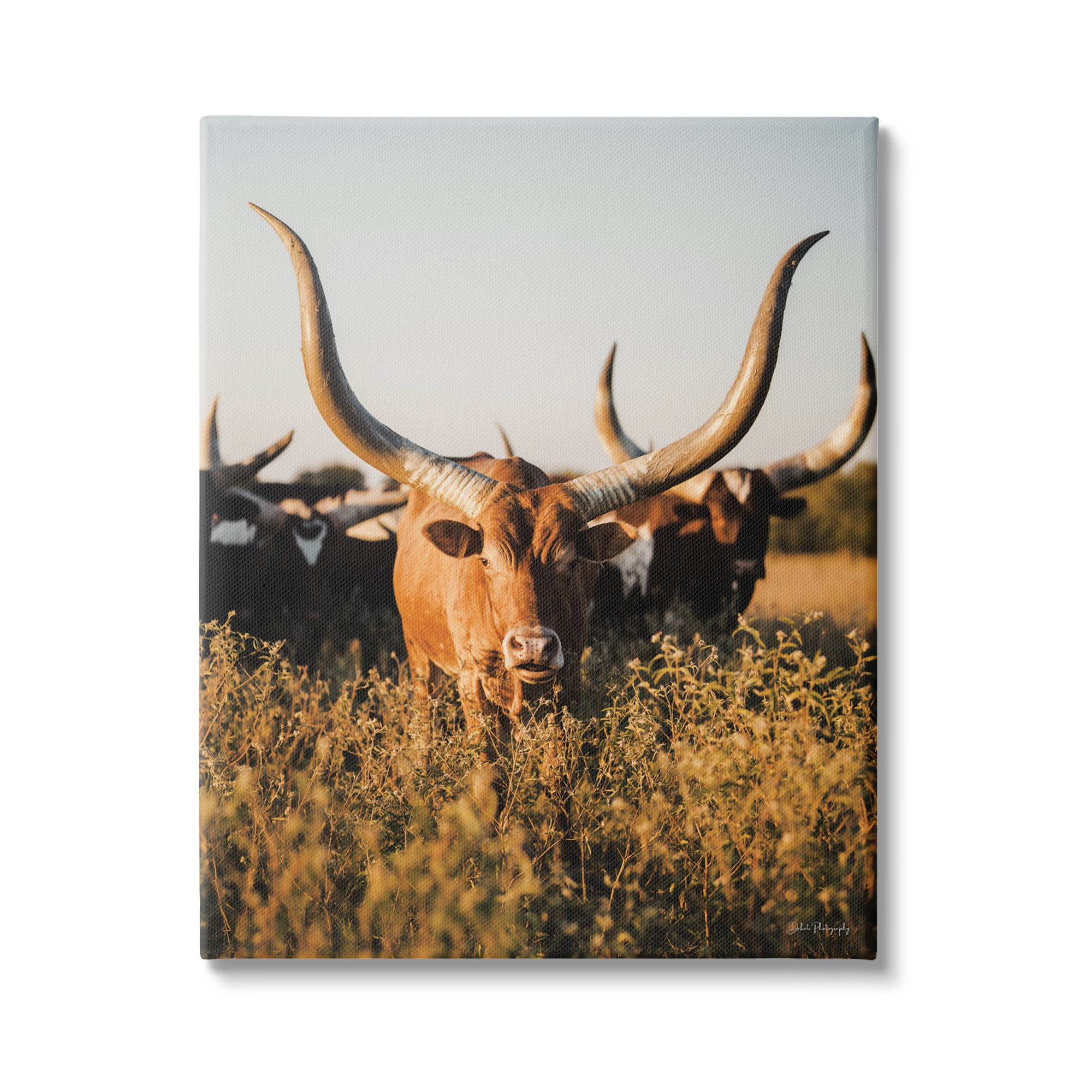 Stupell Industries Longhorn Herd Photography Animals & Insects Photography Gallery Wrapped Canvas Art Print Wall Art, 36 x 48