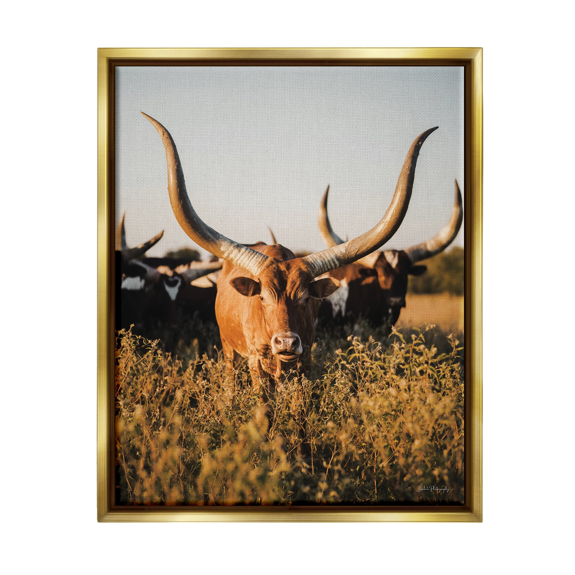 Stupell Industries Longhorn Herd Photography Animals & Insects Photography Gold Floater Framed Canvas Art Print Wall Art, 25 x 31
