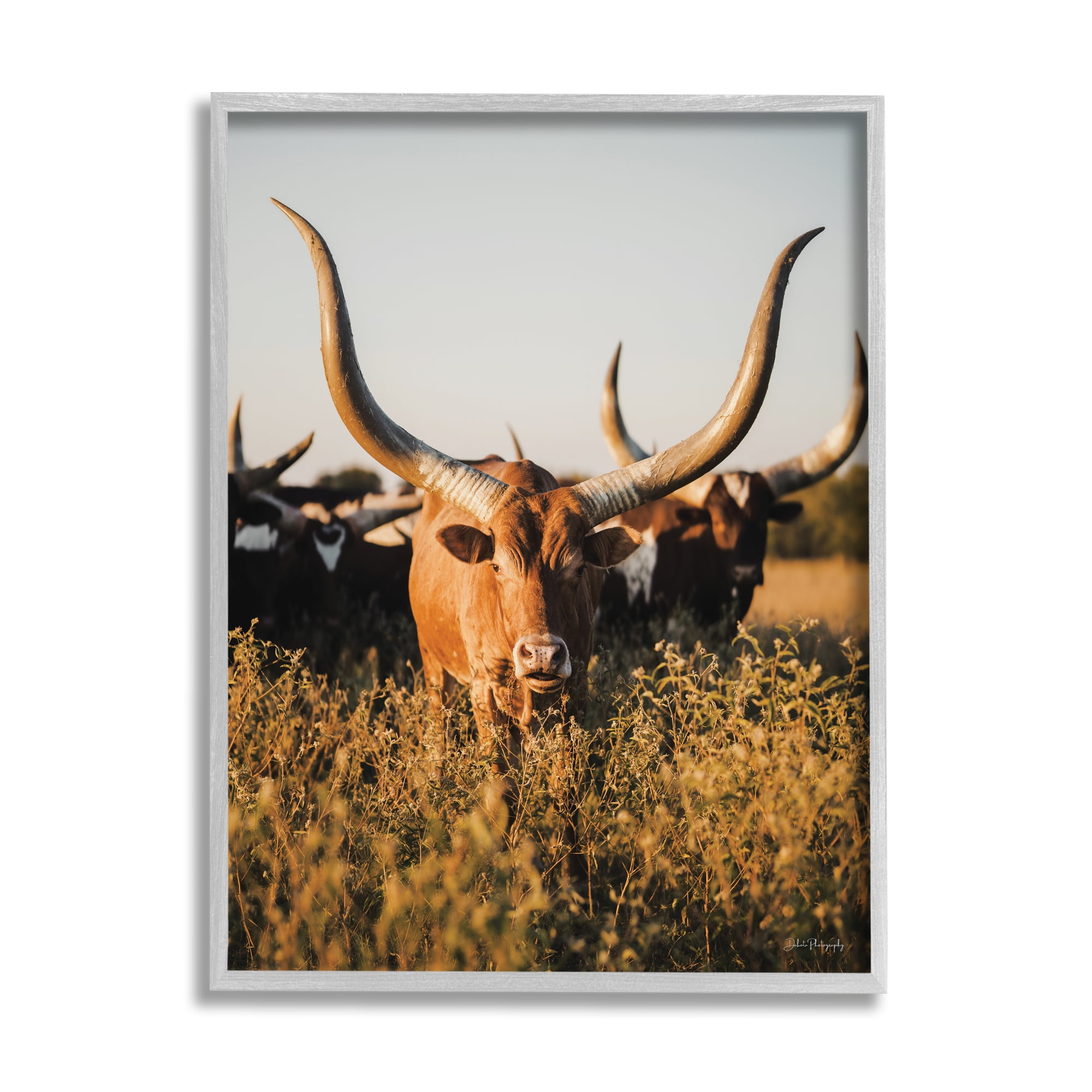 Stupell Industries Longhorn Herd Photography Animals & Insects Photography Gray Framed Art Print Wall Art, 16 x 20