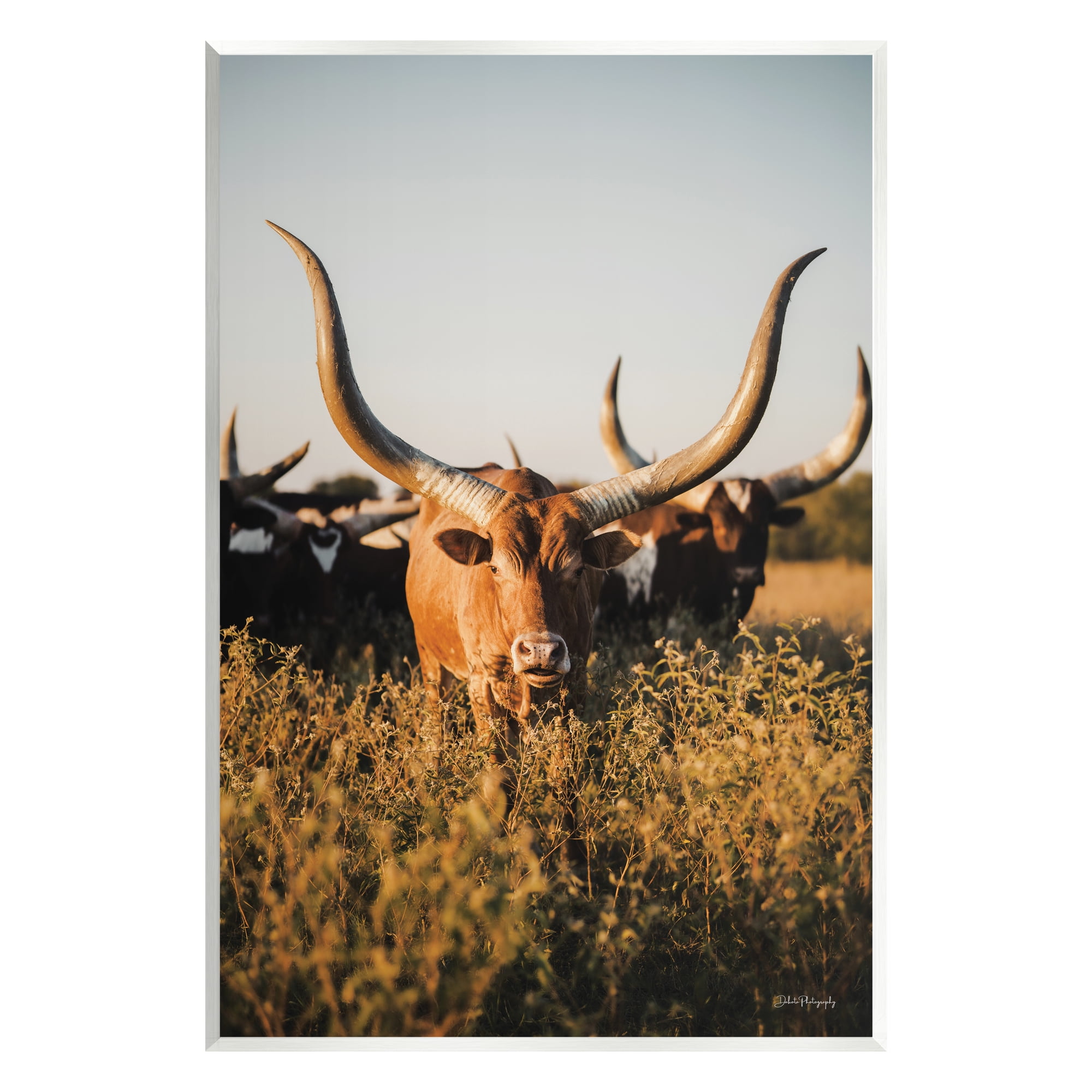 Stupell Industries Longhorn Herd Photography Animals & Insects Photography Unframed Art Print Wall Art, 13 x 19