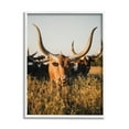 thumbnail image 1 of Stupell Industries Longhorn Herd Photography Animals & Insects Photography White Framed Art Print Wall Art, 11 x 14, 1 of 9