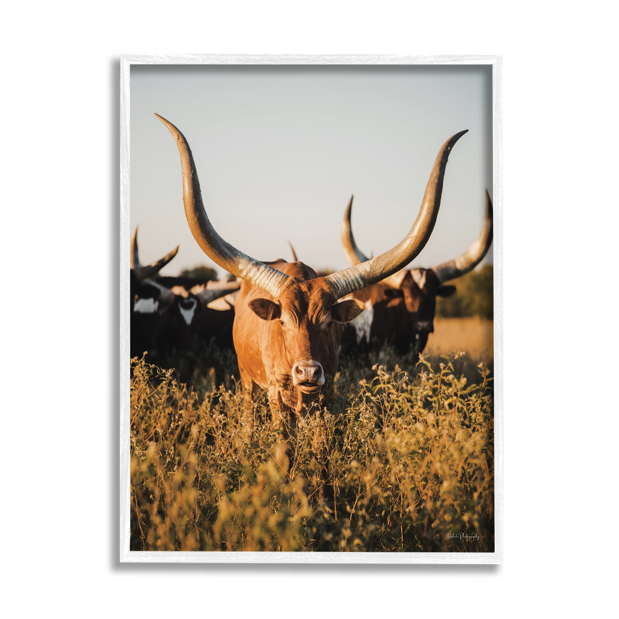 Stupell Industries Longhorn Herd Photography Animals & Insects Photography White Framed Art Print Wall Art, 24 x 30