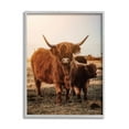 thumbnail image 1 of Stupell Industries Longhorn Highland Cattle Cow Warm Sunrise Morning Photograph Gray Framed Art Print Wall Art, Design by Dakota Diener, 1 of 5