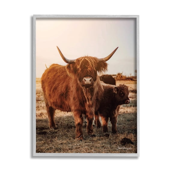 Stupell Industries Longhorn Highland Cattle Cow Warm Sunrise Morning Photograph Gray Framed Art Print Wall Art, Design by Dakota Diener