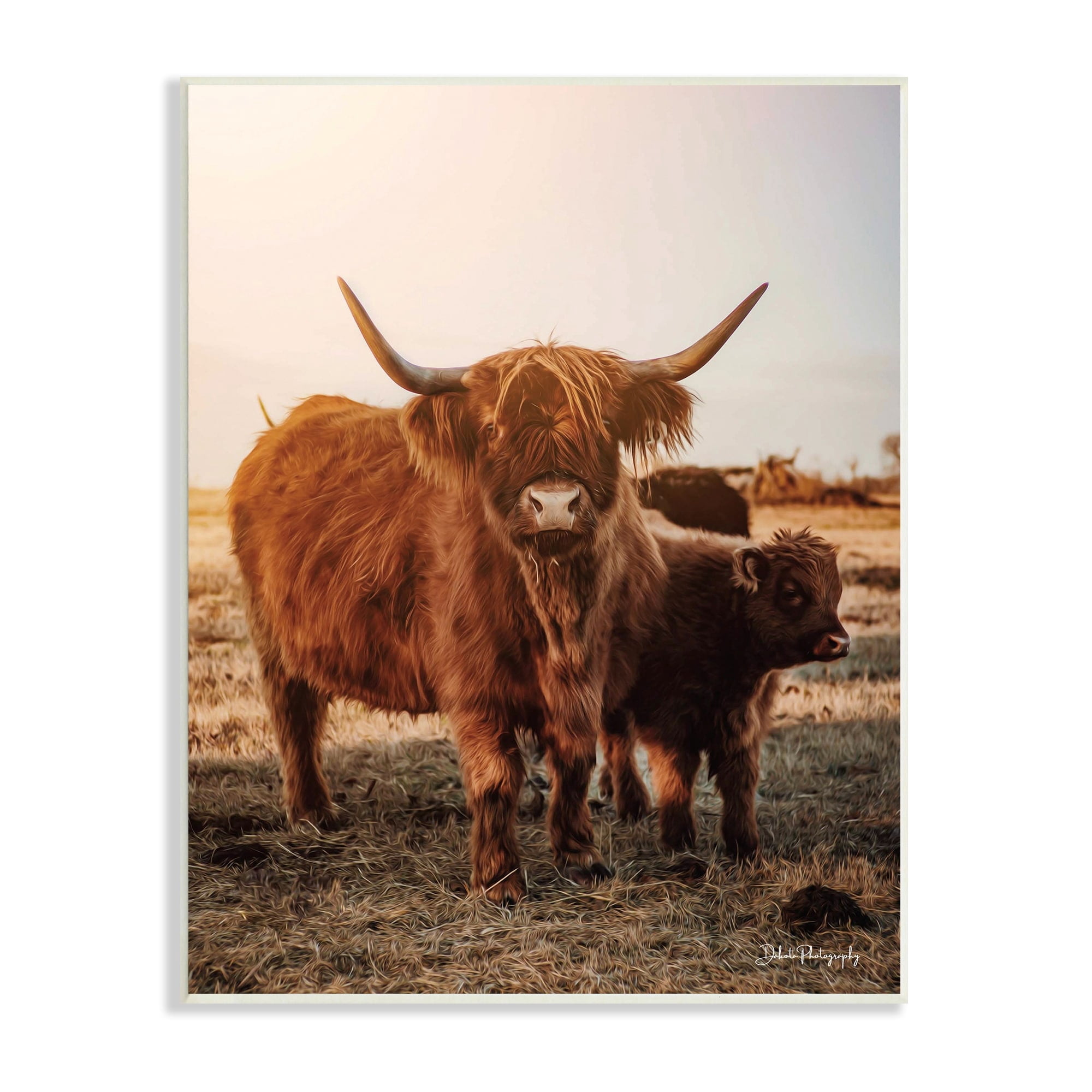 Stupell Industries Longhorn Highland Cattle Cow Warm Sunrise Morning Photograph Unframed Art Print Wall Art, Design by Dakota Diener