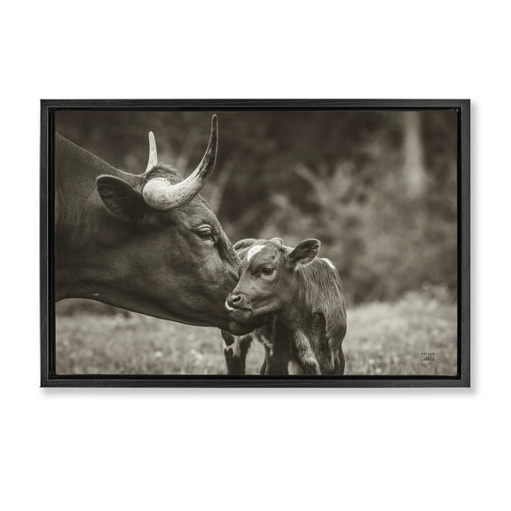 Stupell Industries Longhorn Kiss Photography Animals Photography Black Floater Framed Canvas Art Print Wall Art, 25 x 17