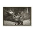 thumbnail image 1 of Stupell Industries Rustic Lodge Longhorn Kiss Photography Brown Floating Frame Canvas Art, 25 x 17, by Nathan Larson, 1 of 8