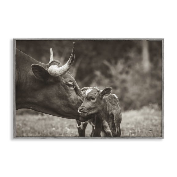 Stupell Industries Longhorn Kiss Photography Animals Photography Gray Framed Art Print Wall Art, 30 x 20