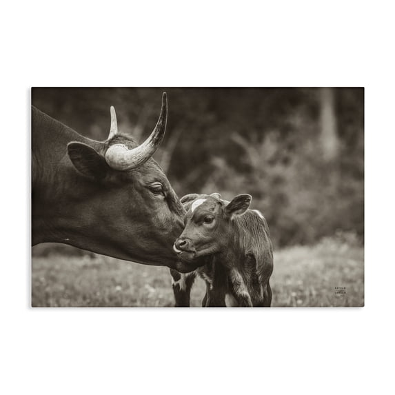 Stupell Industries Rustic Lodge Longhorn Kiss Photography Canvas Art, 36 x 24, by Nathan Larson