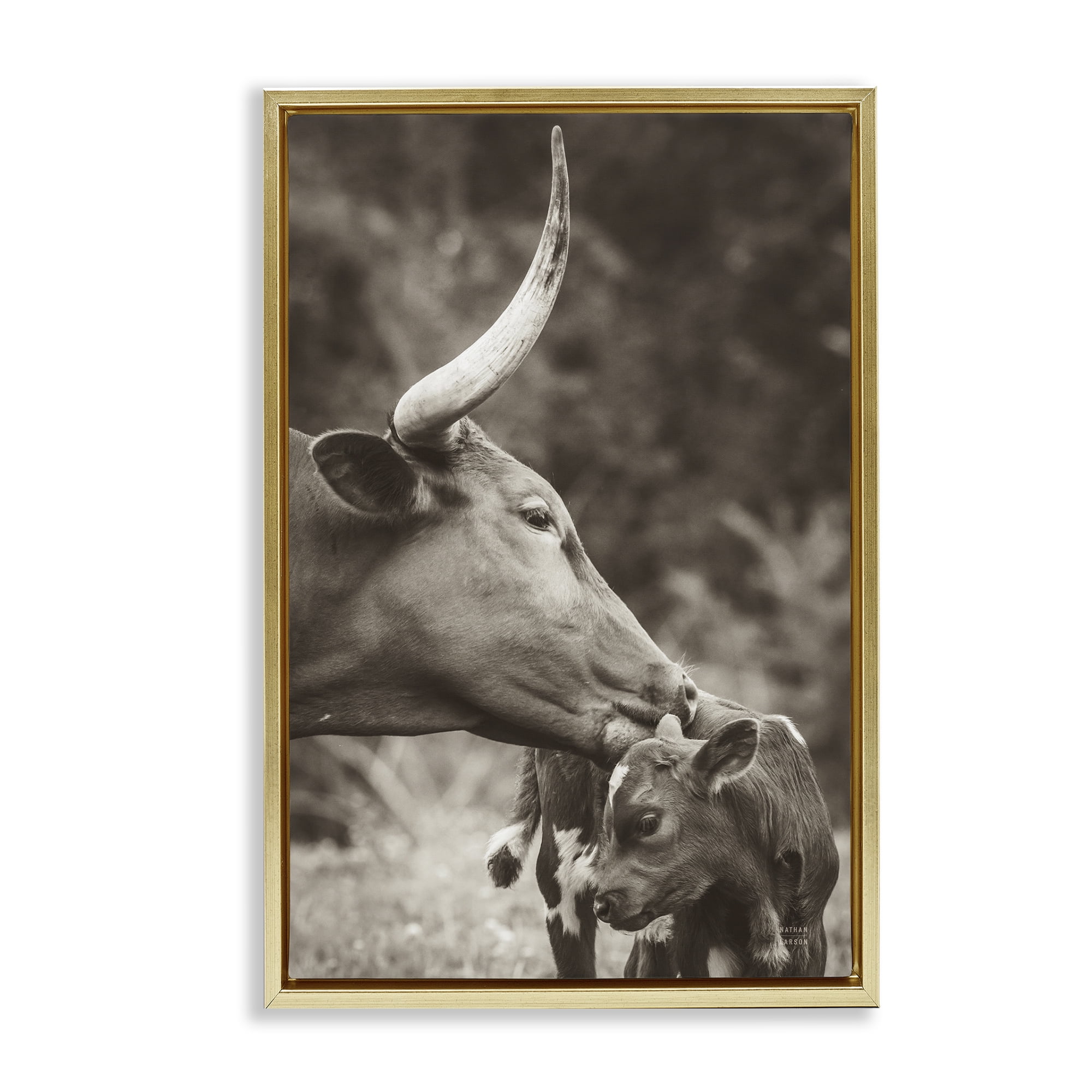 Stupell Industries Longhorn Kissing Baby Animals Photography Gold Floater Framed Canvas Art Print Wall Art, 17 x 25