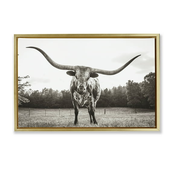 Stupell Industries Longhorn Licking Lips Animals Photography Gold Floater Framed Canvas Art Print Wall Art, 31 x 21